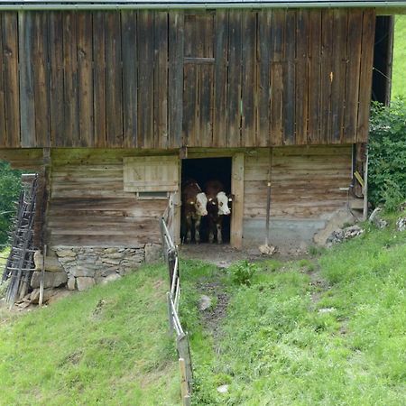 Bergpension-Ebental Brixen im Thale Exteriér fotografie
