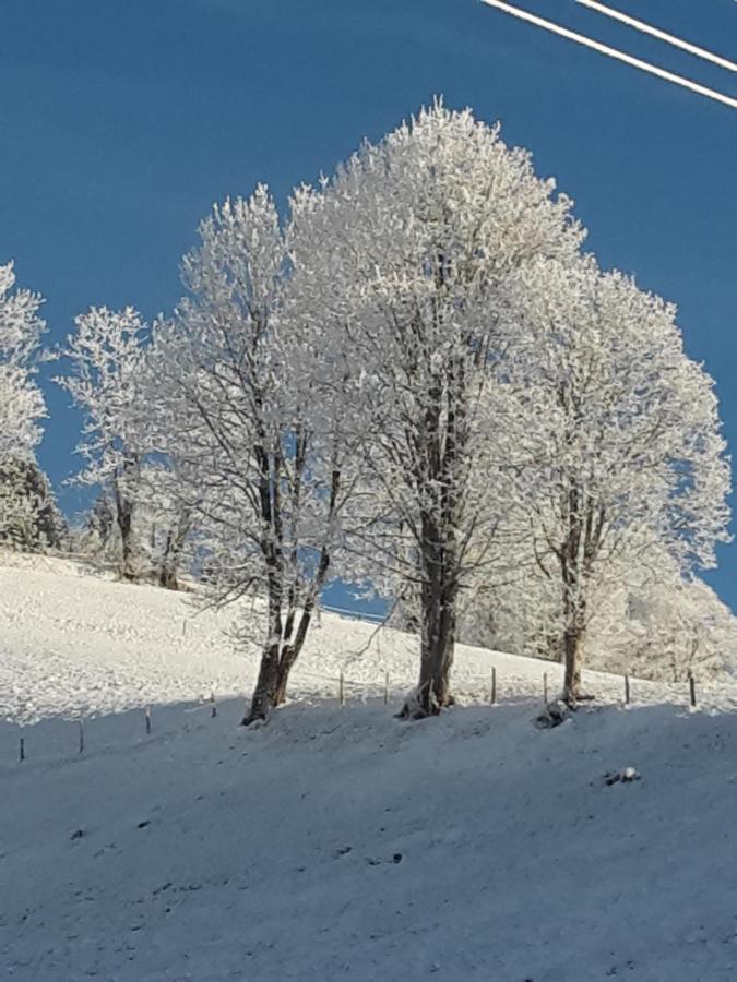 Bergpension-Ebental Brixen im Thale Exteriér fotografie