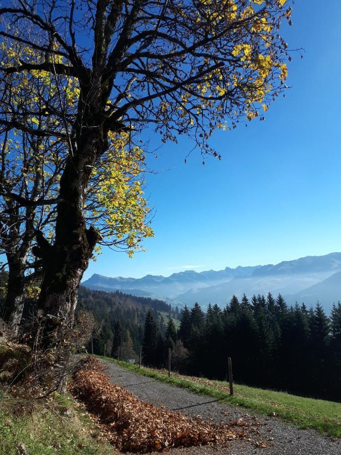 Bergpension-Ebental Brixen im Thale Exteriér fotografie