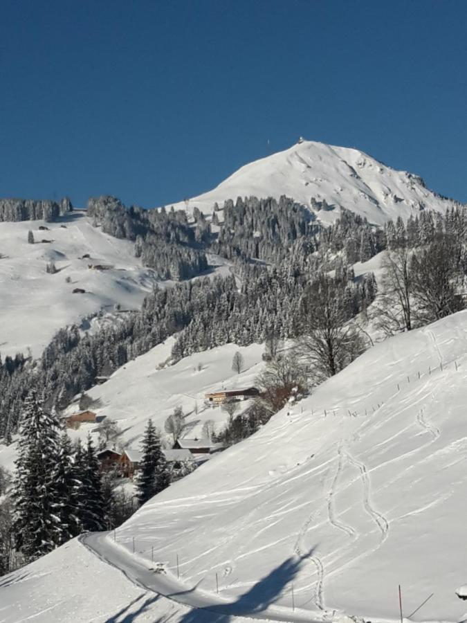 Bergpension-Ebental Brixen im Thale Exteriér fotografie